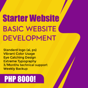 Professional Website